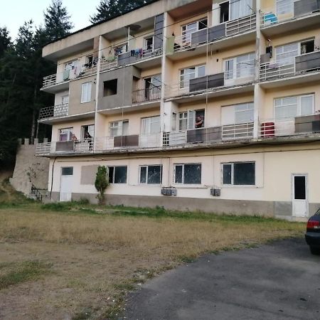 Alena'S Flat Lägenhet Borjomi Exteriör bild