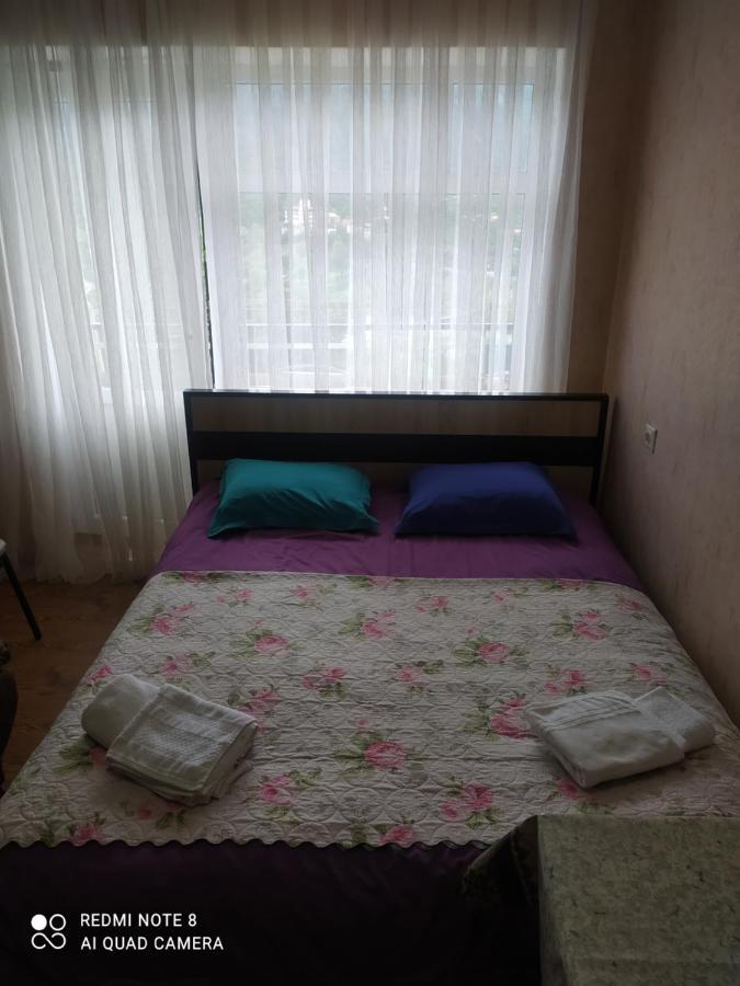 Alena'S Flat Lägenhet Borjomi Exteriör bild