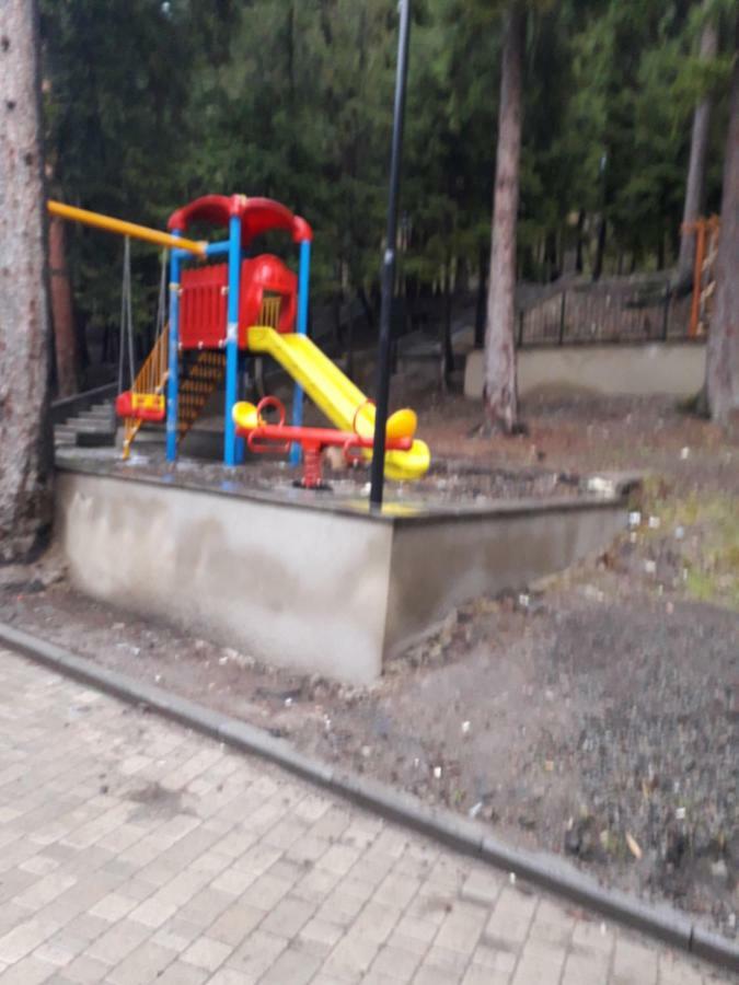 Alena'S Flat Lägenhet Borjomi Exteriör bild